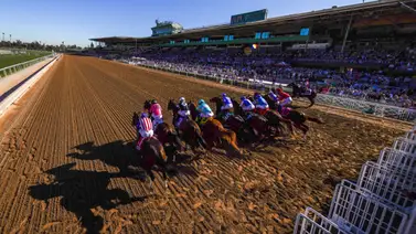 Breeders' Cup: Conoce los otros retirados en las pruebas clásicas de Santa Anita Breeders' Cup: Conoce los otros retirados en las pruebas clásicas de Santa Anita