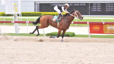 Este domingo debuta una medio hermana de Lyndacarter en La Rinconada Este domingo debuta una medio hermana de Lyndacarter en La Rinconada