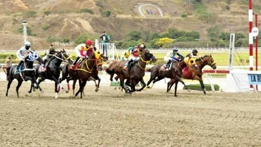 Conoce el ajuste de la hija del único caballo venezolano que corrió en la Breeders’ Cup