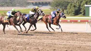 Mira cuál fue el ajuste del hijo del doble ganador del Presidente de la República que corre este domingo en La Rinconada Mira cuál fue el ajuste del hijo del doble ganador del Presidente de la República que corre este domingo en La Rinconada