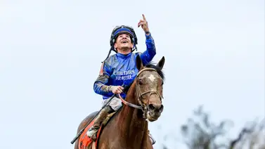 Breeders' Cup: ¿sabías que cuatro triunfadores de 2022 intentaran repetir en el evento en este 2023? aquí te contamos cuales son Breeders' Cup: ¿sabías que cuatro triunfadores de 2022 intentaran repetir en el evento en este 2023? aquí te contamos cuales son