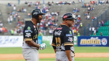 Leones del Caracas