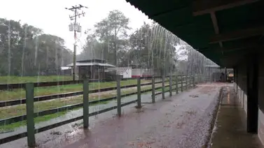 En estos estados las lluvias se mantendrán con mayor intensidad durante la jornada de este viernes En estos estados las lluvias se mantendrán con mayor intensidad durante la jornada de este viernes