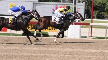 Mira cómo fue el ajuste de Durham para este domingo en La Rinconada Mira cómo fue el ajuste de Durham para este domingo en La Rinconada