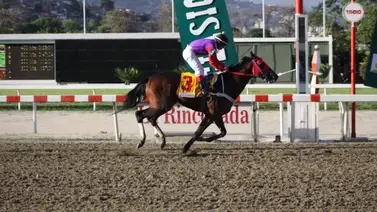 Debuta yegua que es hija de un semental que dio a un doble coronado en Venezuela Debuta yegua que es hija de un semental que dio a un doble coronado en Venezuela