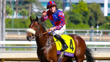 Breeders' Cup: El potro Big Evs le da el primer triunfo a Europa en la Juvenile Turf Sprint