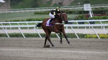 En la sexta válida del domingo hará su estreno una potra hija de una doble coronada venezolana En la sexta válida del domingo hará su estreno una potra hija de una doble coronada venezolana