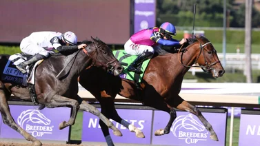 Breeders' Cup: Just F Y I con el venezolano Junior Alvarado sorprende en la Juvenile Fillies