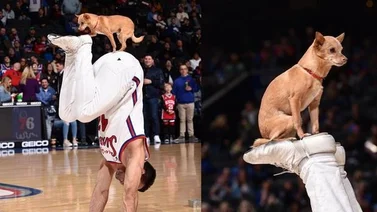 Esta es la mascota que cautiva a la NBA con sus increíbles trucos en los entretiempos (+Video)