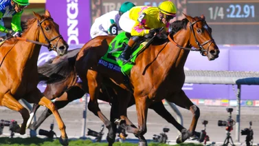 Breeders' Cup: Hard to Justify gana en final de foto la Juvenile Fillies Turf
