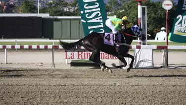 Debuta en La Rinconada la medio hermana de un ganador del Clásico República Bolivariana de Venezuela Debuta en La Rinconada la medio hermana de un ganador del Clásico República Bolivariana de Venezuela