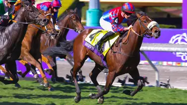 Breeders' Cup: Así quedaron los resultados de Santa Anita 3-11-2023 Breeders' Cup: Así quedaron los resultados de Santa Anita 3-11-2023