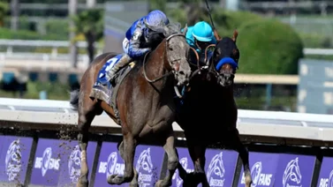 Breeders' Cup: Cody's Wish con Junior Alvarado logra un triunfo de novela en la Dirt Mile