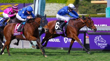 Breeders' Cup: Godolphin acapara todo y logra la exacta en la Mile