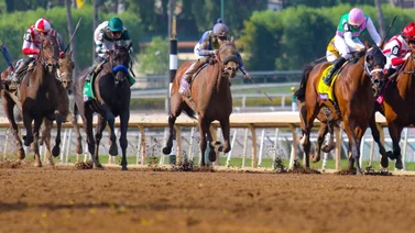 Breeders' Cup: Idiomatic es la mejor yegua al ganar la Distaff