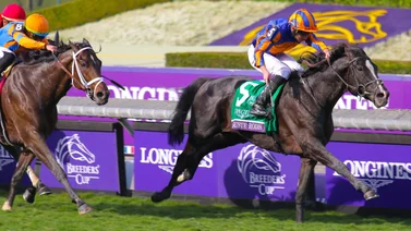 Breeders' Cup: El potro irlandés Auguste Rodin se consagra al ganar la Turf