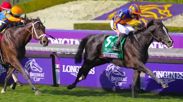 Breeders' Cup: El potro irlandés Auguste Rodin se consagra al ganar la Turf Breeders' Cup: El potro irlandés Auguste Rodin se consagra al ganar la Turf