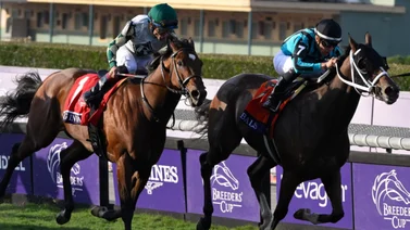 Breeders' Cup: Nobals acaba con los favoritos en la Turf Sprint