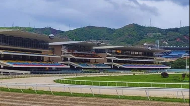 Estos son los retirados del Hipódromo La Rinconada 5-11-2023