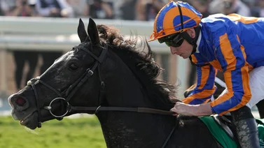 Este es el jugoso bono que le ofrecen a los dueños de Auguste Rodin si gana la Japan Cup
