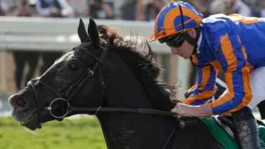 Este es el jugoso bono que le ofrecen a los dueños de Auguste Rodin si gana la Japan Cup Este es el jugoso bono que le ofrecen a los dueños de Auguste Rodin si gana la Japan Cup