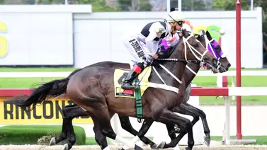 Así quedaron los resultados de las carreras de La Rinconada 5-11-2023 Así quedaron los resultados de las carreras de La Rinconada 5-11-2023