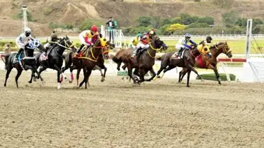 Junta de Comisarios del INH abre averiguación administrativa a entrenador, jinete y palafrenero de Rosa Morena Junta de Comisarios del INH abre averiguación administrativa a entrenador, jinete y palafrenero de Rosa Morena