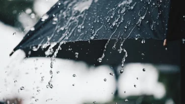 Estos son los estados con pronóstico de lluvias más intensas durante este lunes (+Reporte)