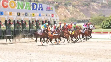11 carreras dentro de la reunión 44 en La Rinconada 11 carreras dentro de la reunión 44 en La Rinconada