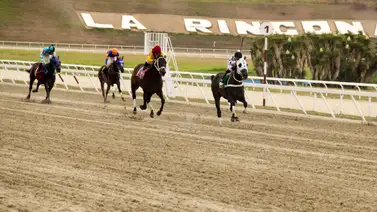 Cuatro tresañeras buscarán su victoria en la condicional especial para yeguas en La Rinconada Cuatro tresañeras buscarán su victoria en la condicional especial para yeguas en La Rinconada
