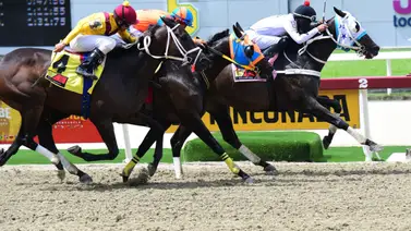 Ramiro Caldeira inscribe a este ejemplar que regresa a La Rinconada luego de 210 días sin correr Ramiro Caldeira inscribe a este ejemplar que regresa a La Rinconada luego de 210 días sin correr