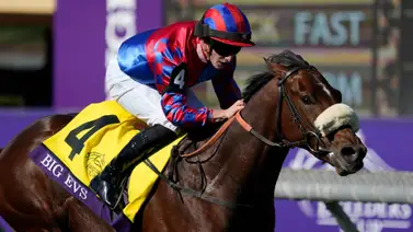 El campeón dosañero Big Evs llega a su establo y así lo reciben (+ video) El campeón dosañero Big Evs llega a su establo y así lo reciben (+ video)