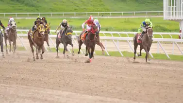 Antonio Bellardi reaparece a esta nieta de Tapit que tiene 203 días sin correr en La Rinconada Antonio Bellardi reaparece a esta nieta de Tapit que tiene 203 días sin correr en La Rinconada