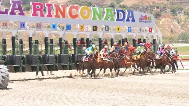 Hija de semental ganador del Simón Bolívar vuelve a la pista de La Rinconada Hija de semental ganador del Simón Bolívar vuelve a la pista de La Rinconada