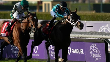 ¿Sabes cuál es el ganador de la Breeders' Cup de más bajo precio vendido en subasta? Entérate aquí