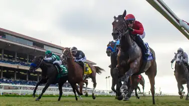 Esta será la sede de la Breeders' Cup 2024 Esta será la sede de la Breeders' Cup 2024