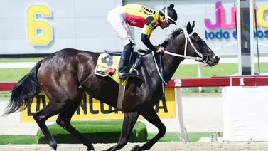 Fast Sensations corre este domingo en La Rinconada luego de un parón de 56 días Fast Sensations corre este domingo en La Rinconada luego de un parón de 56 días