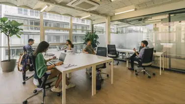 Popular empresa de coworking se declara en bancarrota tras estrepitosa caída de su valor Popular empresa de coworking se declara en bancarrota tras estrepitosa caída de su valor