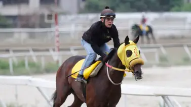 Esta es la línea de Johan Aranguren para el domingo en La Rinconada Esta es la línea de Johan Aranguren para el domingo en La Rinconada
