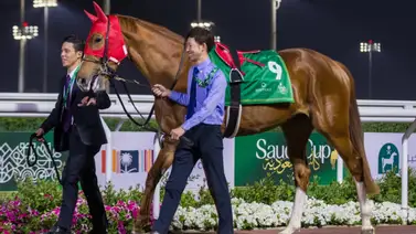 Esta será la próxima carrera del japonés Derma Sotogake Esta será la próxima carrera del japonés Derma Sotogake