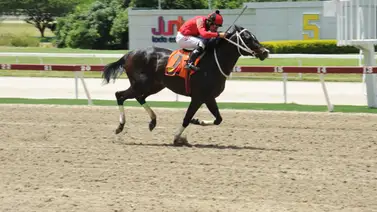 Mira el ajuste de este pupilo de Gabriel Márquez que reaparece en La Rinconada tras 35 días sin correr Mira el ajuste de este pupilo de Gabriel Márquez que reaparece en La Rinconada tras 35 días sin correr