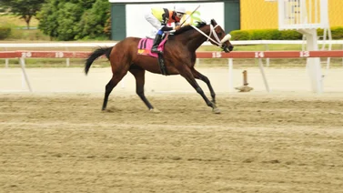 Este hijo de Champlain luce su ajuste para el 5y6 dominical de La Rinconada