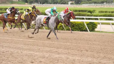 Este es el ajuste de la favorita de Gaceta Hípica en la última válida del domingo en La Rinconada Este es el ajuste de la favorita de Gaceta Hípica en la última válida del domingo en La Rinconada