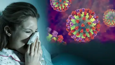 Departamento de Salud declara epidemia por influenza en Puerto Rico (+Video) Departamento de Salud declara epidemia por influenza en Puerto Rico (+Video)