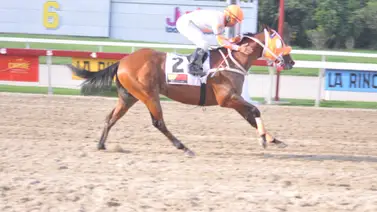 Entérate cómo queda el ajuste de Tank Abbott de cara a su compromiso de la reunión 44 en La Rinconada Entérate cómo queda el ajuste de Tank Abbott de cara a su compromiso de la reunión 44 en La Rinconada