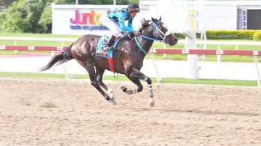 Con este ajuste este ejemplar de Jesús Romero Rojas queda listo para el 5y6 dominical Con este ajuste este ejemplar de Jesús Romero Rojas queda listo para el 5y6 dominical