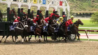 Ejemplar de Ismael Martínez realiza su ajuste para la reunión 44 en La Rinconada Ejemplar de Ismael Martínez realiza su ajuste para la reunión 44 en La Rinconada