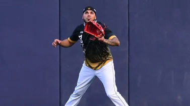 LVBP: ¿Hasta cuándo jugará Harold Castro con Leones del Caracas? (+Video)