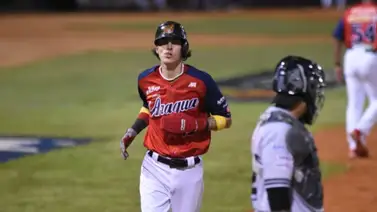 LVBP: Carlos Tocci castigó a los Tiburones de La Guaira LVBP: Carlos Tocci castigó a los Tiburones de La Guaira