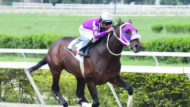 Delegación venezolana por la conquista del Caribe Delegación venezolana por la conquista del Caribe